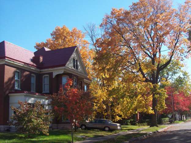 14th St. Side of       Our House        10-15-12