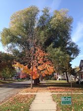 14925278_10207742623219613_5201381353102620222_n